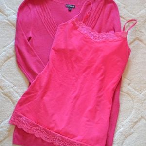 Express V-neck SWEATER ONLY